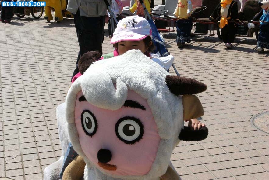 6.JPG