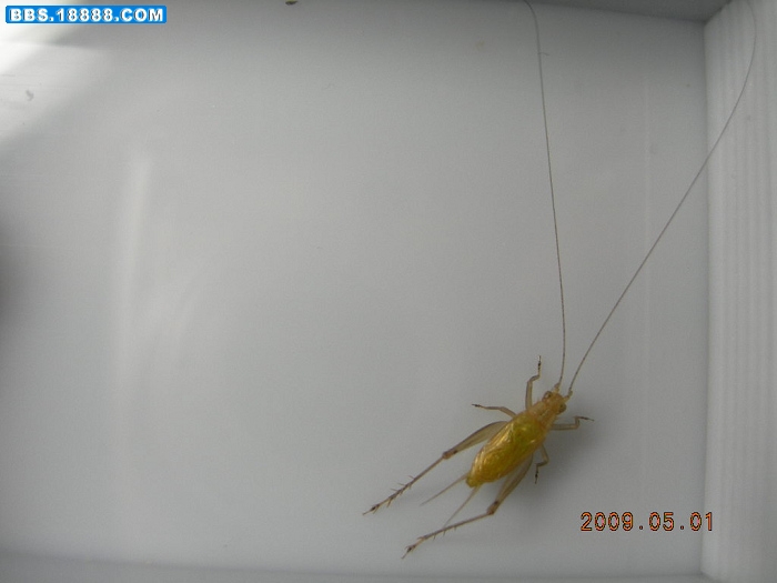 DSCN2520.JPG