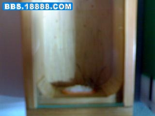 20090525447.jpg