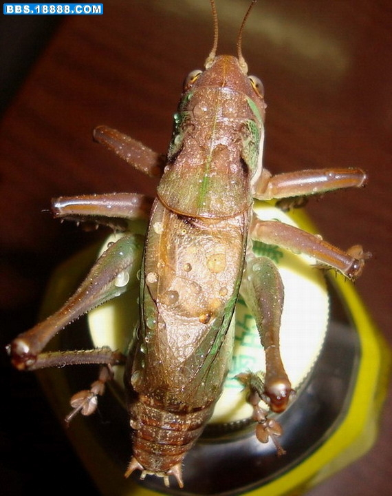 DSC00224.JPG