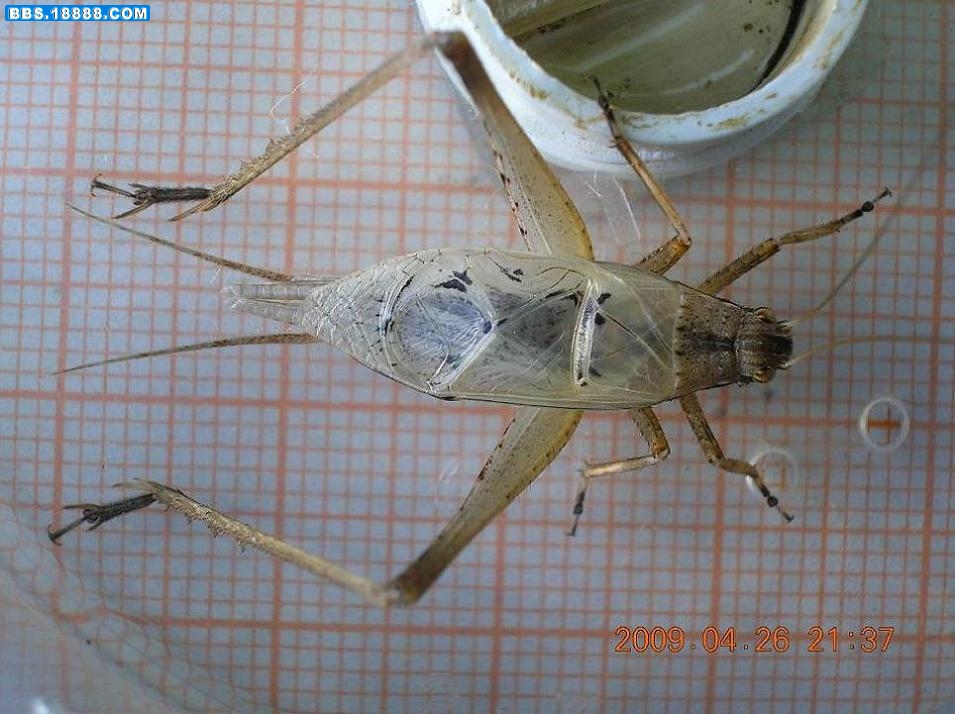 DSCN4282.JPG