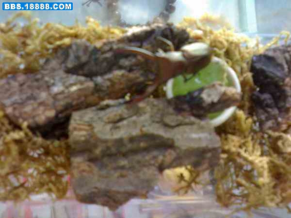 200905011220.jpg