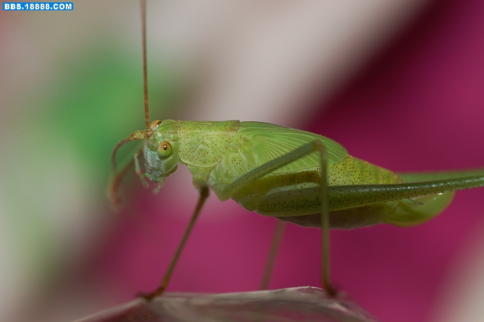 DSC_0921.jpg