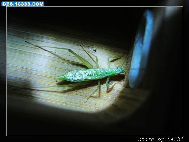 DSC03692.JPG