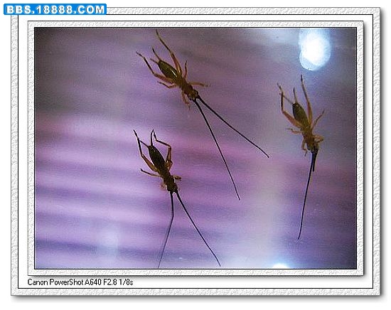 nEO_IMG_nEO_IMG_照片 007.jpg