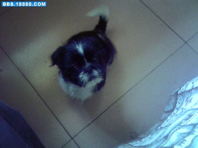 DSC00003.JPG