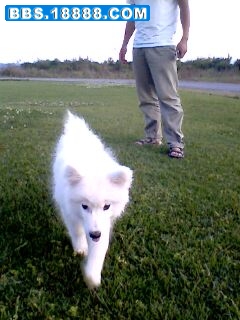 IMG0020A.jpg