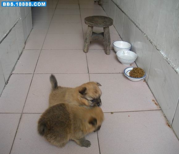调整大小 照片 115.jpg