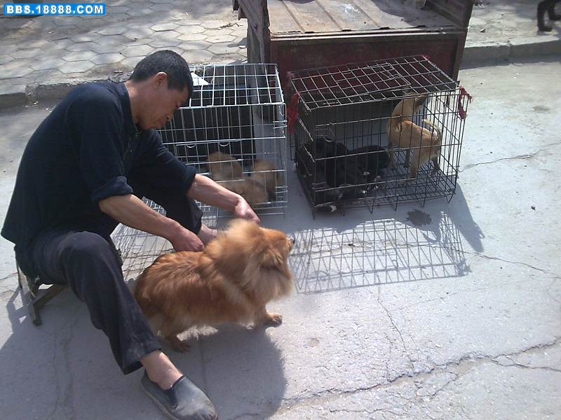 图像012.jpg