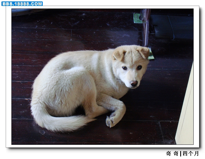 nEO_IMG_DSC03234.jpg