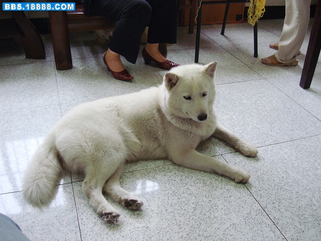 nEO_IMG_DSC03688.jpg