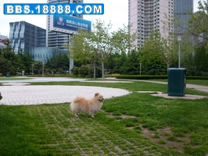 IMG_1063_调整大小.jpg