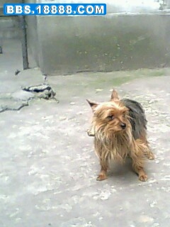 IMG0020A.jpg