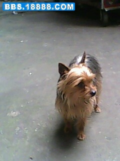 IMG0016A.jpg