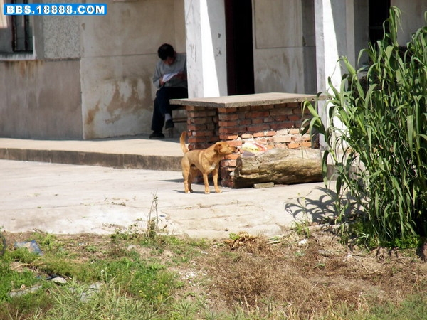 100_2399.jpg