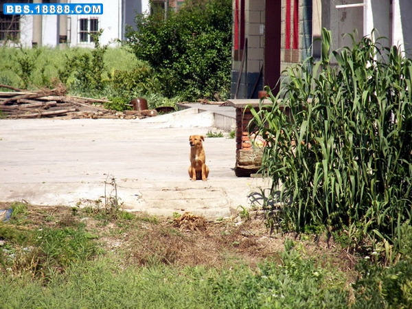 100_2400.jpg