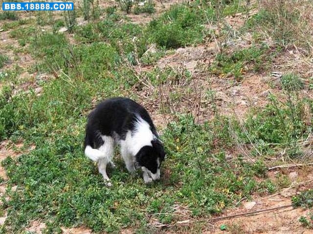 DSC_0148.JPG