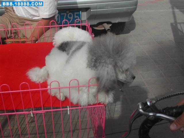 DSCN5394 (小型).JPG