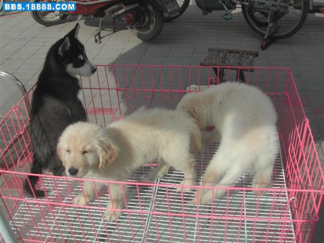 DSCN5397 (小型).JPG