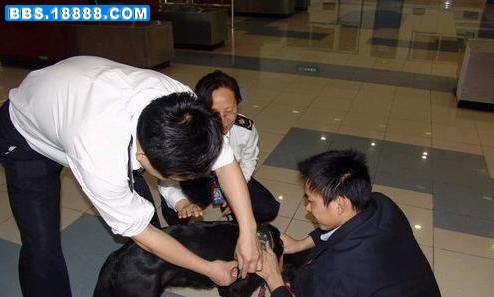 已成为.jpg