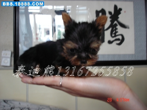 DSC06216.jpg
