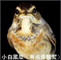 未命名.JPG
