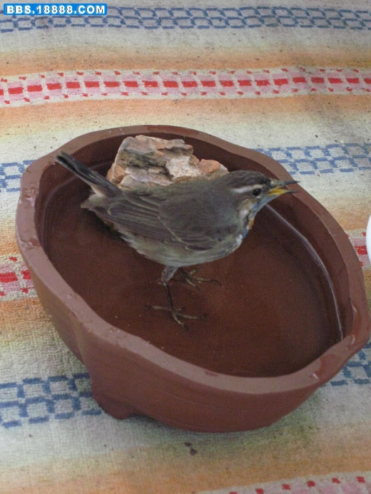 照片 05.jpg