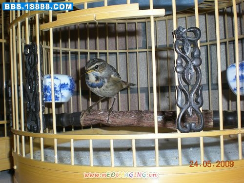 DSCN2338.JPG