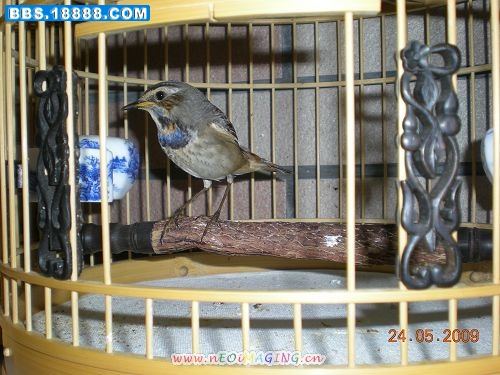 DSCN2336.JPG