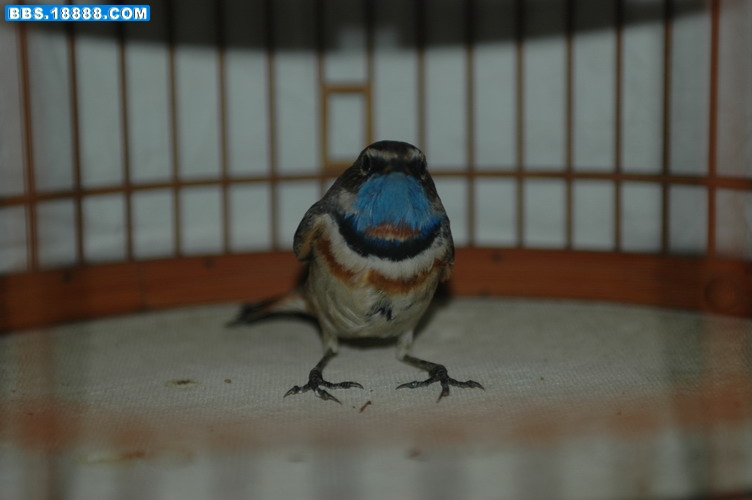 DSC_7975.jpg