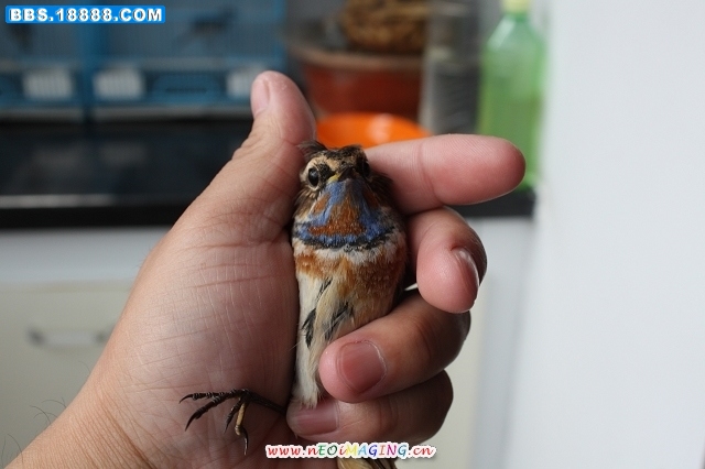 照片 463.jpg