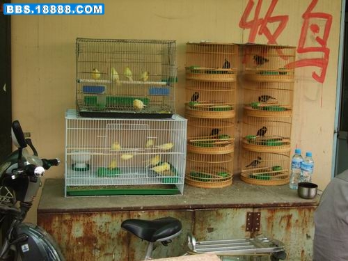 DSCF50831.jpg