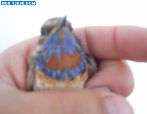 照片 074.jpg