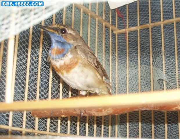 照片 055.jpg