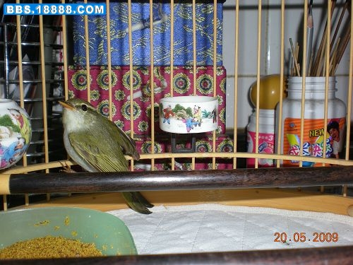 DSCN2290.JPG
