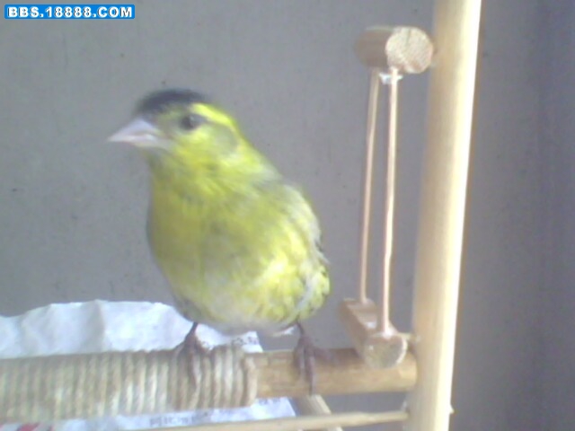 IMG1735A.jpg