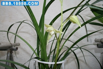 照片 070.jpg