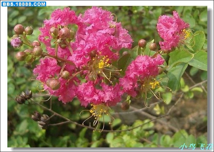 DSCF2778.jpg