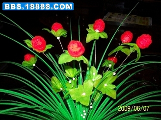 100_3157.JPG