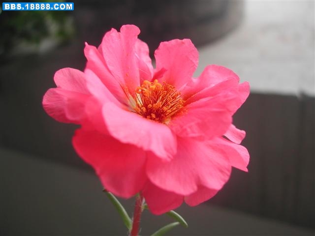 DSCN5670 (小型).JPG