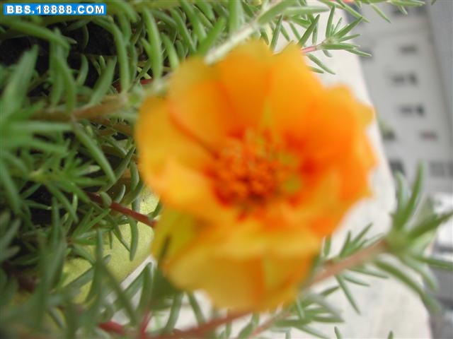 DSCN5692 (小型).JPG
