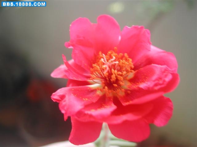 DSCN5651 (小型).JPG