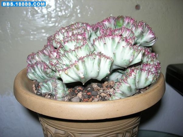 DSCN2080.JPG