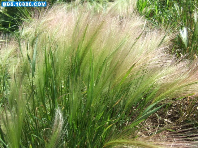 DSCF5688.JPG