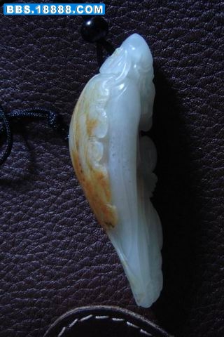 照片 001.jpg