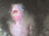 DSC00098.JPG