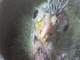 DSC00108.JPG