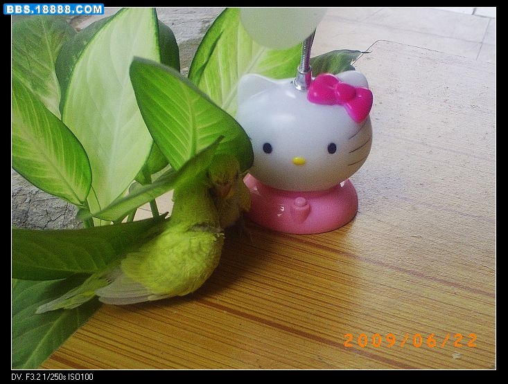 nEO_IMG_PICT0608.jpg