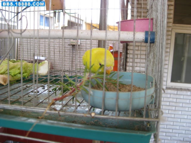 IMG_0003.JPG
