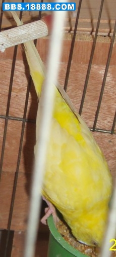吃东西也偷拍.jpg